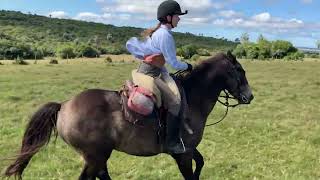 Criollos Wild Land Ride In Uruguay