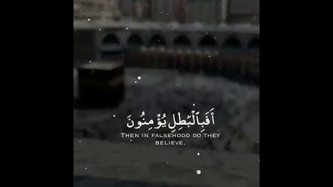 (أَوَلَمْ يَرَوْا أَنَّا جَعَلْنَا حَرَمًا آمِنًا) القارئ #ياسر_الدوسري سورة #العنكبوت 💙