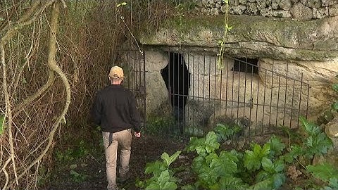 Sis investigadors publiquen un estudi dels 65 gravats de la Cova de s