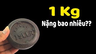 HỎI NGU: 1 Kg nặng bao nhiêu??