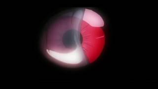 Detective Conan Movie 20 trailer