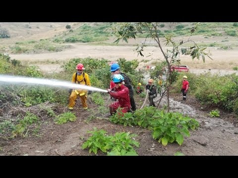 50 NUEVOS COMBATIENTES FORESTALES camera iphone 8 plus apk