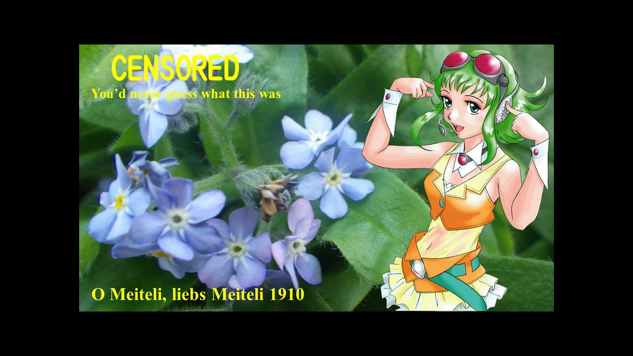 【Megupoid】おおブレネリ；O Vrenel 1910【Vocaloid 5】メグッポイド