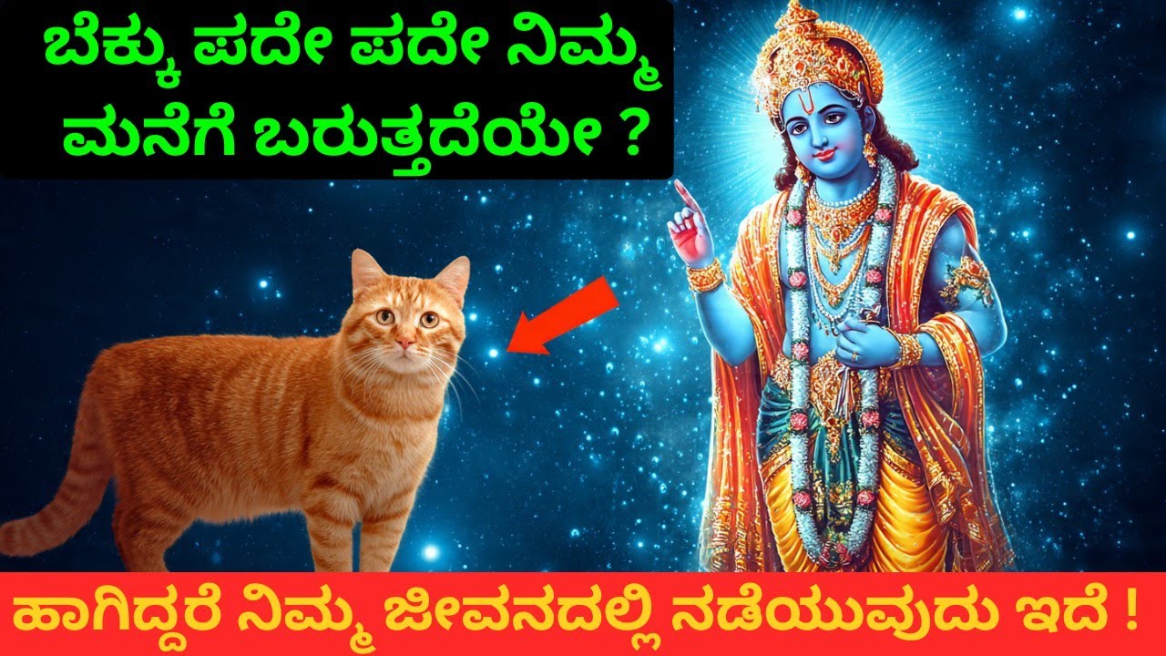 ಬೆಕ್ಕು ನಿಮ್ಮ ಮನೆಗೆ ಆಗಾಗ ಬರುತ್ತಿದೆಯಾ? ಅದರ ಹಿಂದೆ ಅಚ್ಚರಿಯ ರಹಸ್ಯ ಇದೆ!