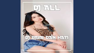 DJ BIBIR DAN HATI