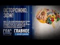 ОСТОРОЖНО, ЗОЖ! СПЕЦИАЛЬНЫЙ РЕПОРТАЖ АНЖЕЛИКИ КАРЕТКИНОЙ