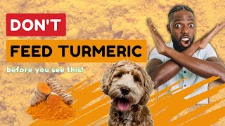 DIY GOLDEN PASTE FOR DOGS 🐶 in Under 10 Minutes! Don't Feed Turmeric Before You See This!