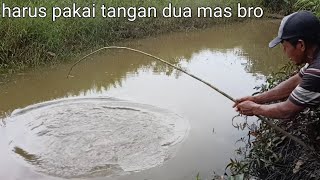 Najur Ikan Gabus Di Parit Gajah Umpan Daging Ayam Memang Ganas