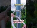 【誰でも覚える杭結び】簡単で超しっかり！命を守る実用ロープ術！#結び方 #実用知識 #ライフハック