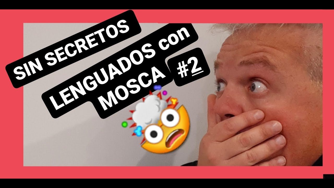 NO SABIAS ESTO? - COMO PESCAR LENGUADOS con MOSCA en Mar Chiquita- SIN SECRETOS