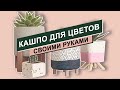 Милые кашпо для цветов своими руками DIY