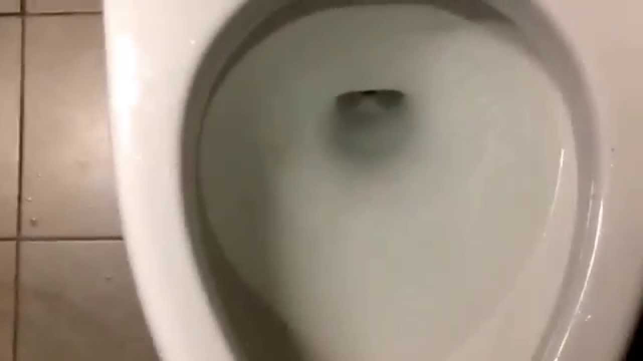 30 Kohler Kingston Wall Mount Toilet You 30 Kohler Kingston Wall Mount Toilet You