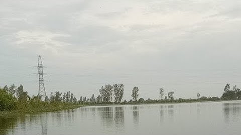 🔴 Trực Tiếp | Giăng Lưới Cá Linh Mùa Nước Nổi  tay lưới đầy cá|| HMT