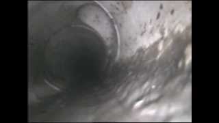 22640 - 28 Coora Street Wishart.avi 22640 - 28 Coora Street Wishart.avi