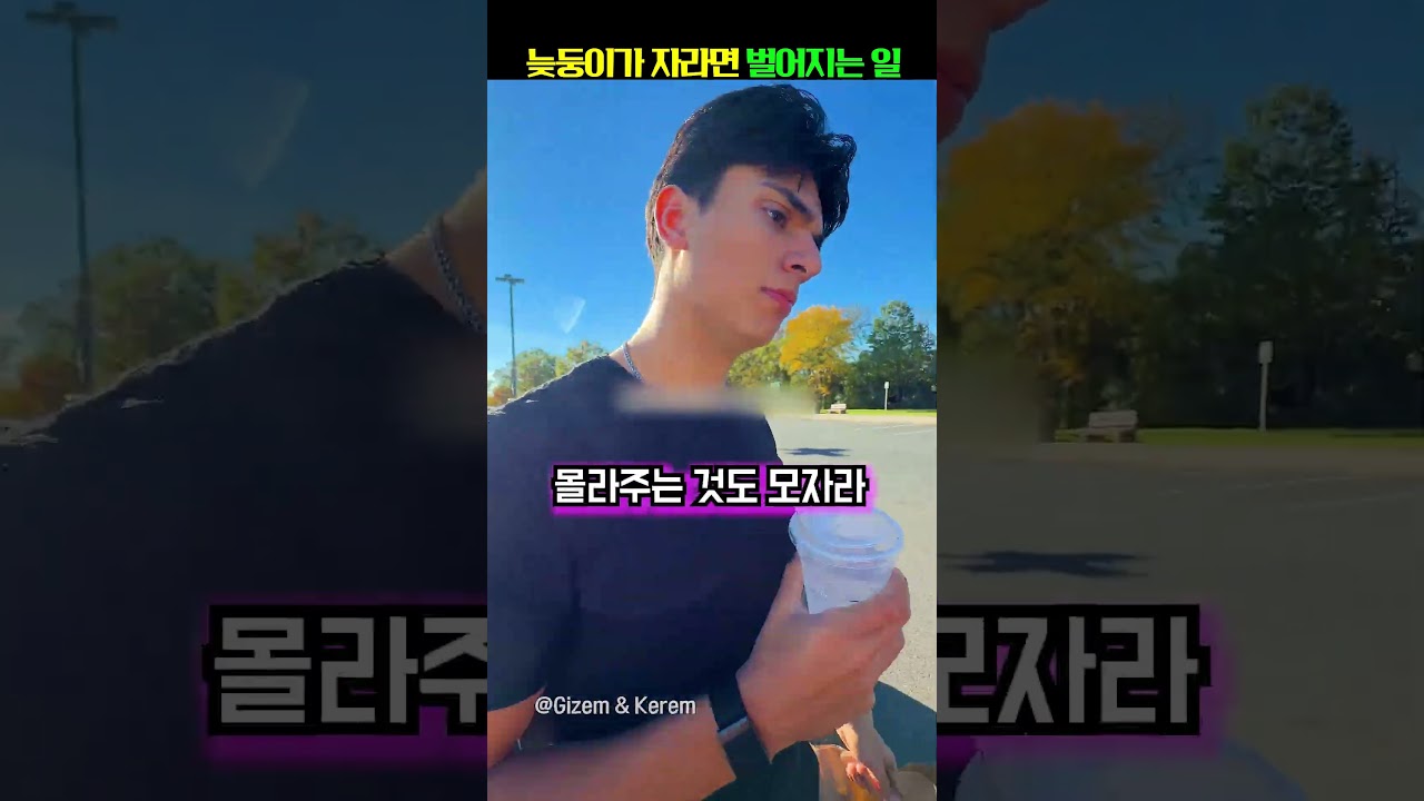 늦둥이가 자라면 벌어지는 일 ㅋㅋ