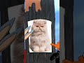 Random stuff #memes #cat #cursed