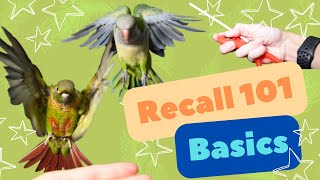 Recall Basics | Training Tutorials