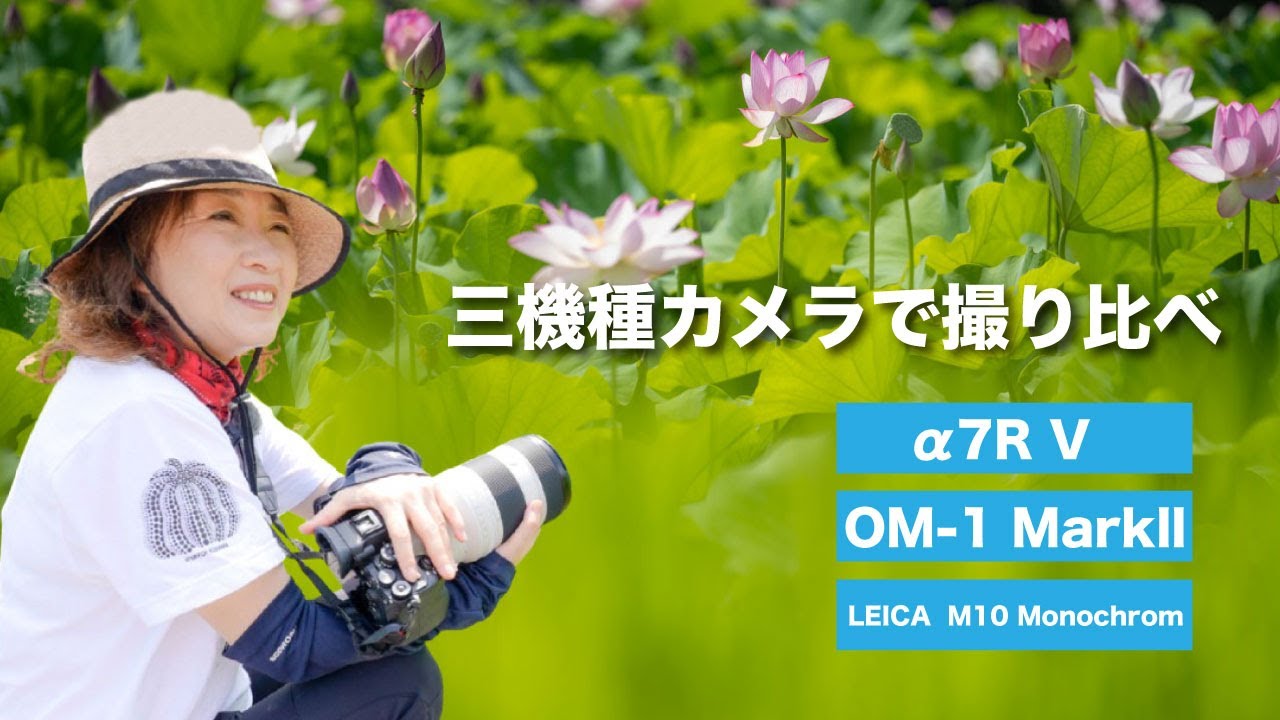 お花ちゃん カメラ ☀️日向坂46 松田好花ちゃん 髙橋未来虹ちゃん 山下葉留花ちゃん 片山