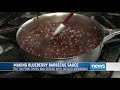 Pork Chops with Blueberry Barbecue Sauce