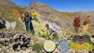 A fascinating journey and pure moments of nomadic life | Harvesting special medicinal plants🌿🏔