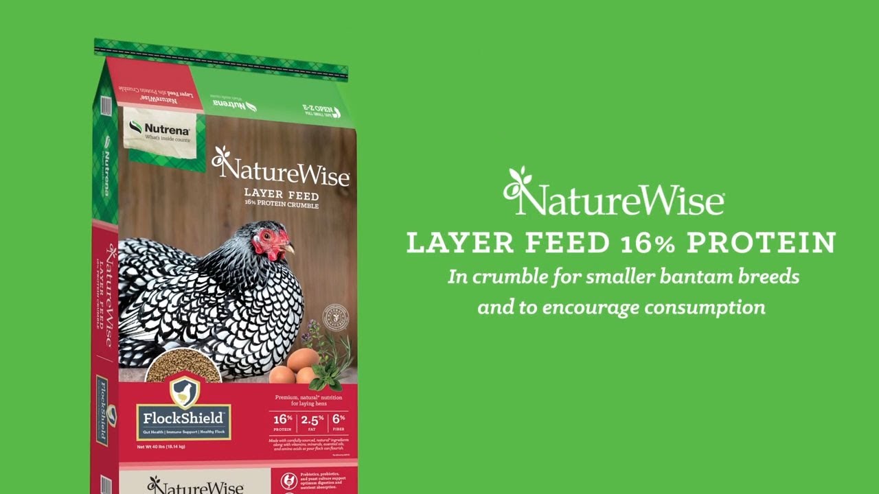 Protein For Chicken Layers