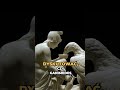 Greccy Bogowie: Gwa*t i Podstęp w Mitologii