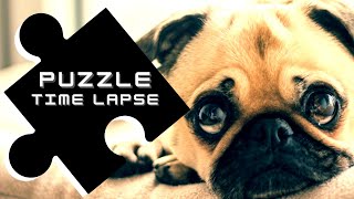 A Very Cute Puppy Pug | Jigsaw Puzzle Time Lapse screenshot 1