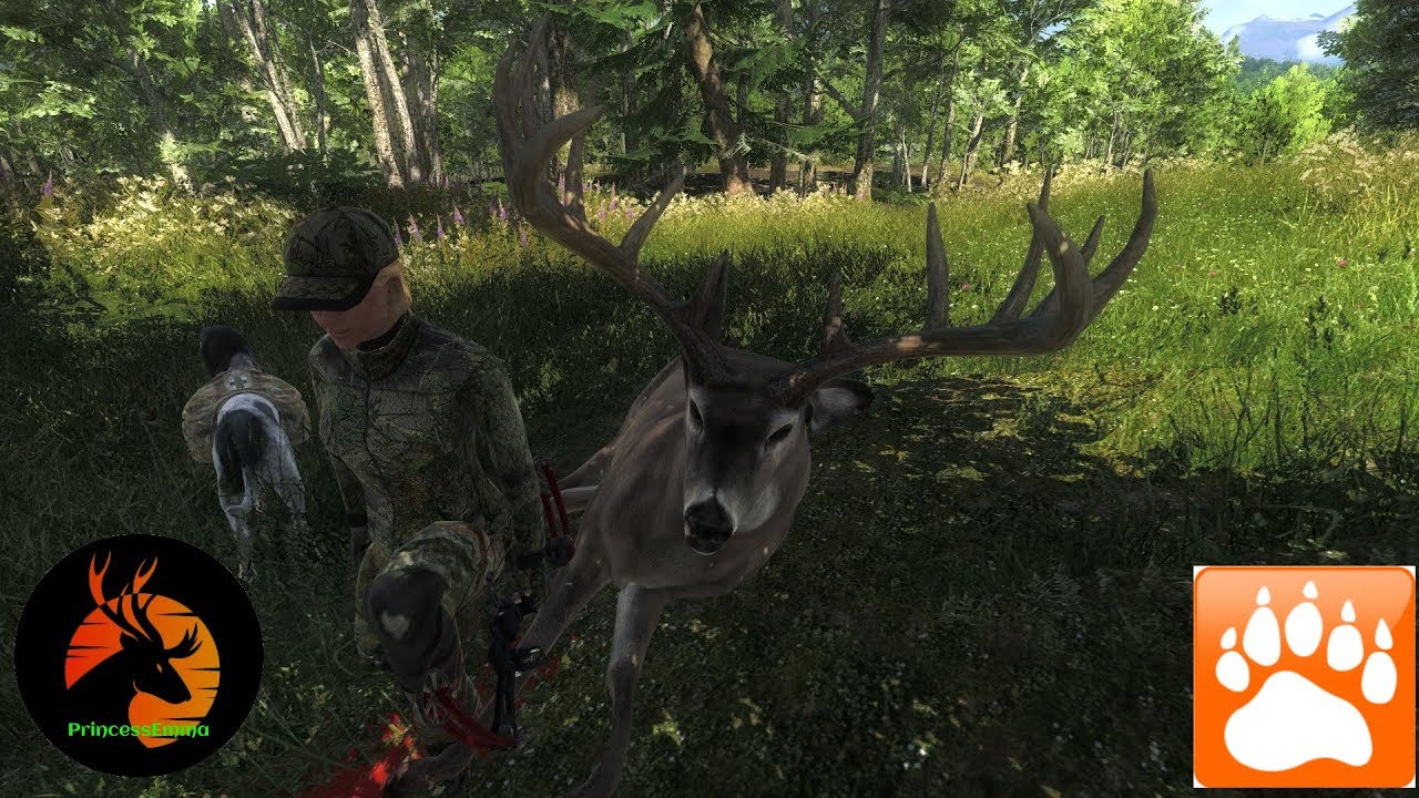 Thehunter Classic Whitetail And Coyote Kills With The 