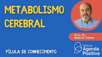 Como funciona o metabolismo cerebral?