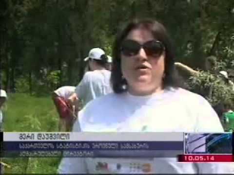 საქსტატის თანამშრომლები გამწვანების აქციაში მონაწილეობენ რუსთავი 2