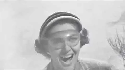 This is why all Insects are afraid of Ants