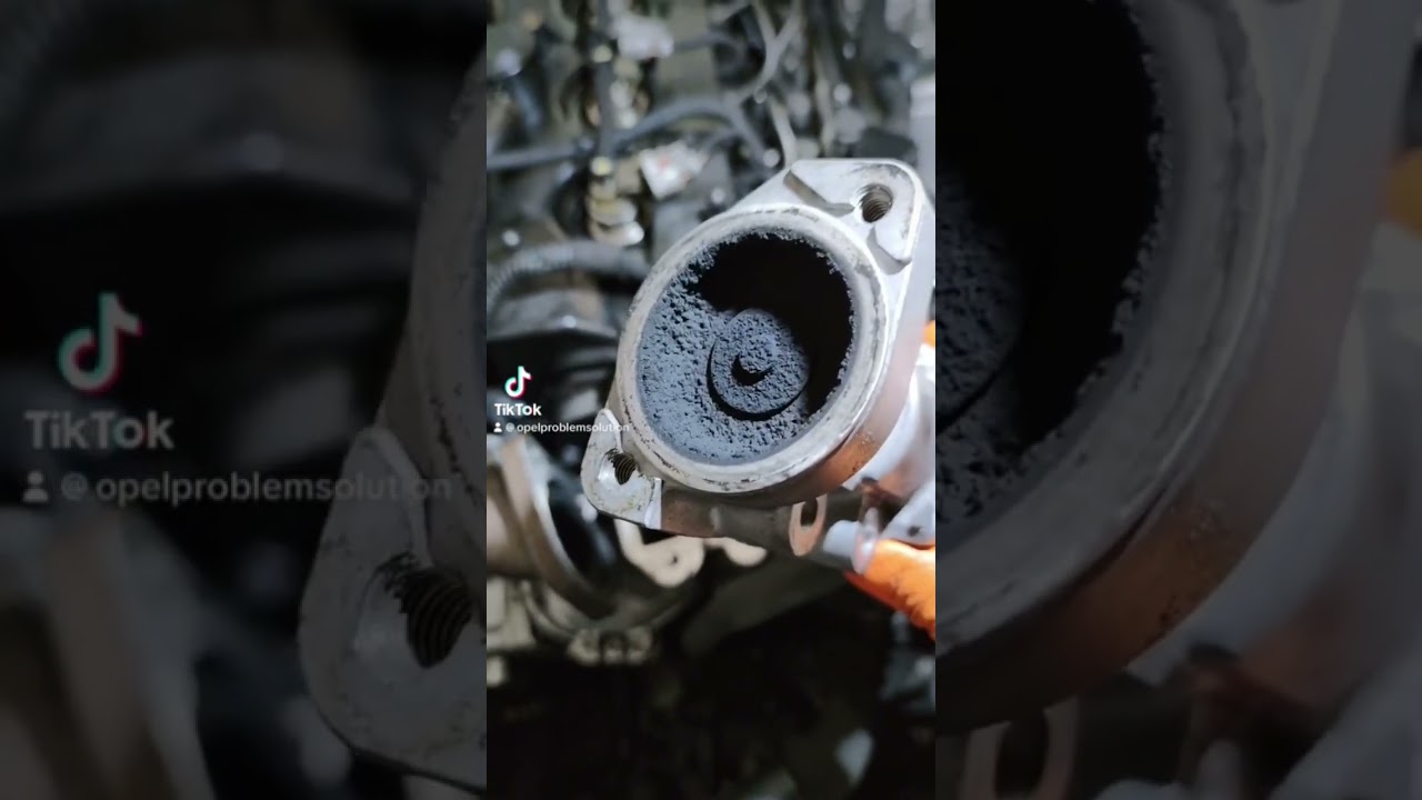 AGR Ventil klemmt Reinigen 