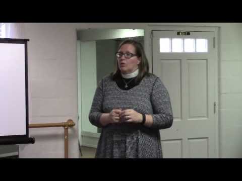 Coal Ash bills in Committee --Leann Culbreath in Valdosta 2017-03-01