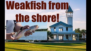 Mary Ross seems to always come through! (Weakfish bite) by Tide Down Outdoors 42 views 2 years ago 4 minutes, 27 seconds