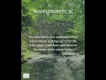 WE ASKED CHATGPT (Hilariously Accurate!) Semper Fi Custom Remodeling of Greenville SC &amp; Asheville NC