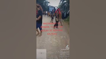 MASYARAKAT TUNTUT KE ADILAN BRIMOB VS WARGA DAYAK #shorts #viral #demo  #fyp