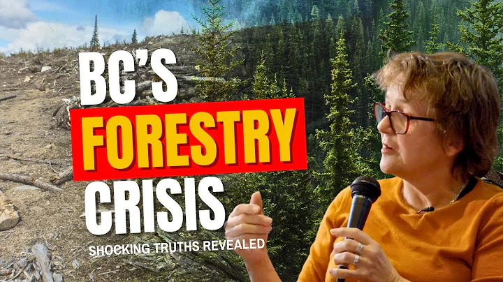 BC’s Forestry Crisis: Dr. Rachel Holt Reveals Shocking Truths About Logging, Carbon, and the Future