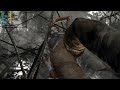 Tomb Raider High Graphics 180 fps Lossless Scaling 3.2 X3 Frame Gen AMD GPU Performance
