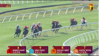 22 AUG 2026 RACE 8