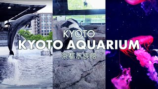 【Japan Trip Vlog】Exploring Kyoto, 🐟KYOTO AQUARIUM🪼