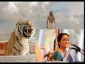 Pi's Lullaby - Life of Pi - Bombay Jayashree - Tamil Song