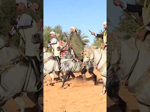 لحظات خالدة في ذاكرة حاسي لفحل فنتازيا الجزائر العرس الجماعي حاسي لفحل المنيعة 2025