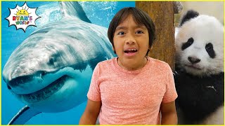 learn about sharks panda and penguins with ryan educational animal facts