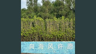 须尽欢（柚子茶）