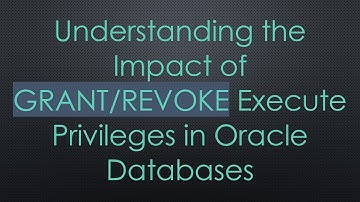 Understanding the Impact of GRANT/REVOKE Execute Privileges in Oracle Databases