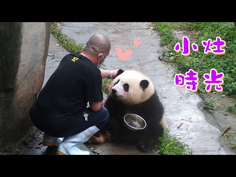 《熊貓早晚安》奶爸偷偷給“和花”“開小灶”！ | iPanda熊貓頻道