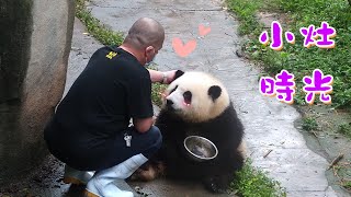 《熊貓早晚安》奶爸偷偷給“和花”“開小灶” | iPanda熊貓頻道