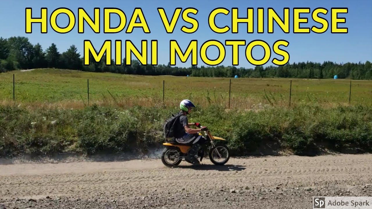 HONDA  vs Chinese Mini moto | TOP SPEED | Max fun