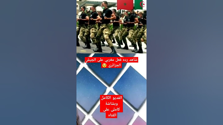 شاهد ردة فعل مغربي على الجيش الجزائري 2023 #الجزائر #المغرب