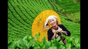 Bài Hát Tiếng Người Dao Tiền Tuyên Quang Nỗi Buồn Mồ Côi|Đặng Thịnh Vlogs